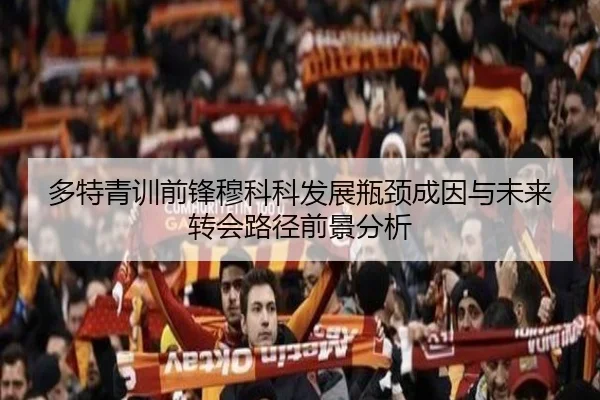 多特青训前锋穆科科发展瓶颈成因与未来转会路径前景分析